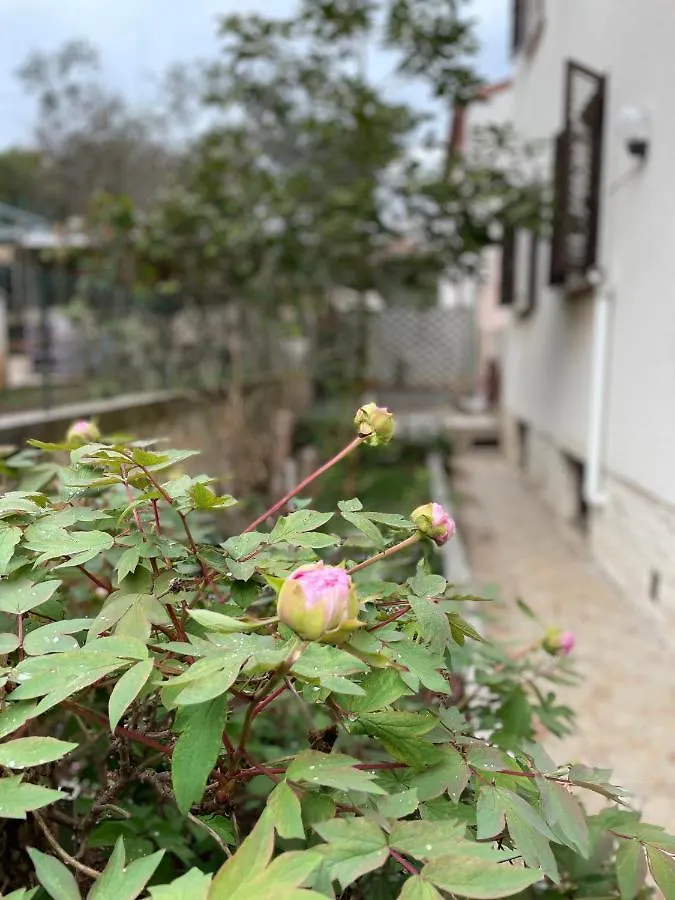 Apartments Valsaline Pula